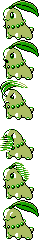 Chikorita front sprite