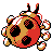 Ledyba back sprite