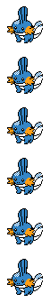 Mudkip front sprite