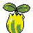 Sunkern back sprite