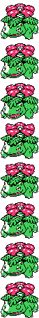 Venusaur front sprite