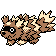Zigzagoon front sprite
